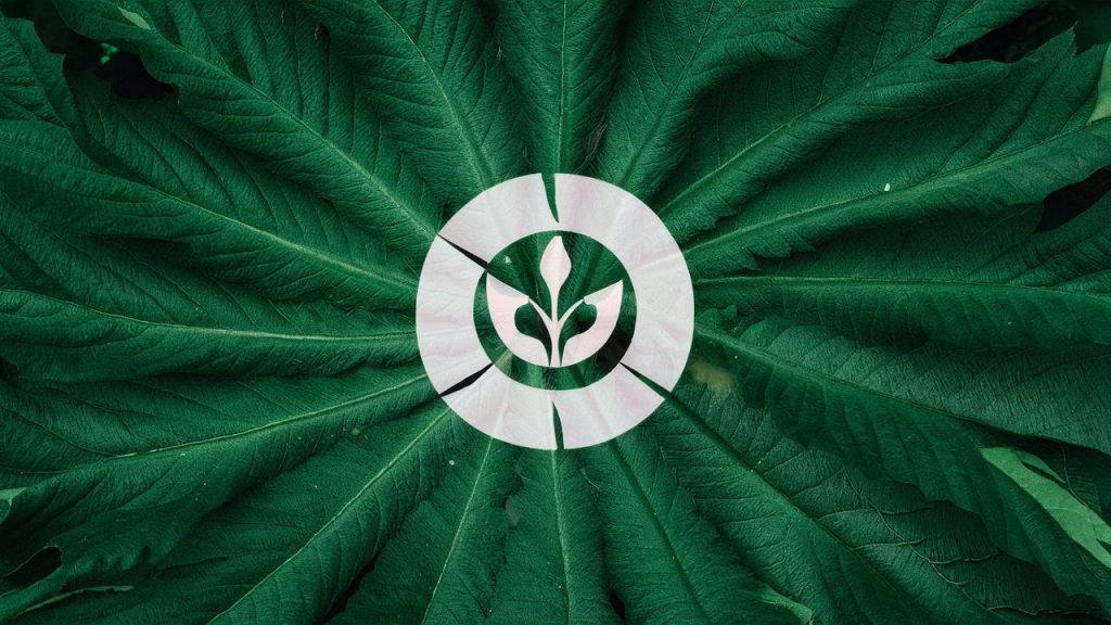 Simple, virtuous techniques.